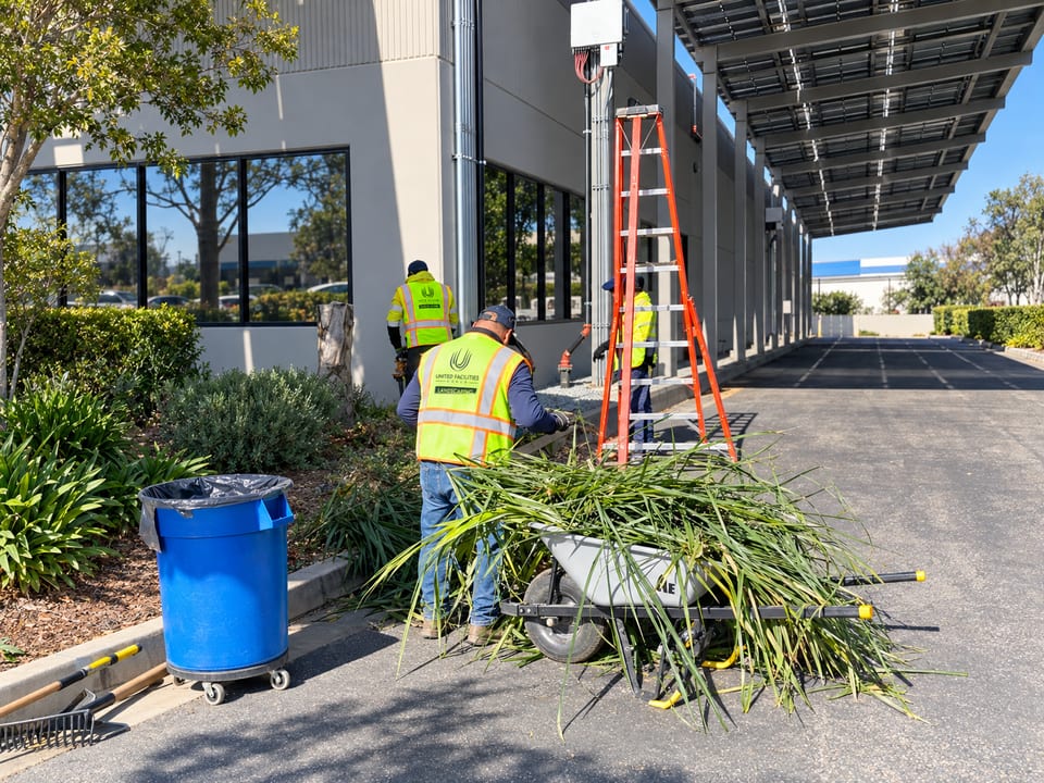 Three UFG landscapers in hi-vis vests clear plant trimmings beside an office building, with a wheelbarrow and ladder